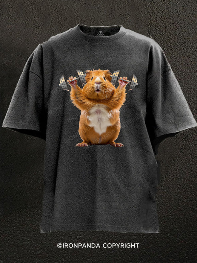 Dumbbell lifting Hamster Washed Gym Shirt