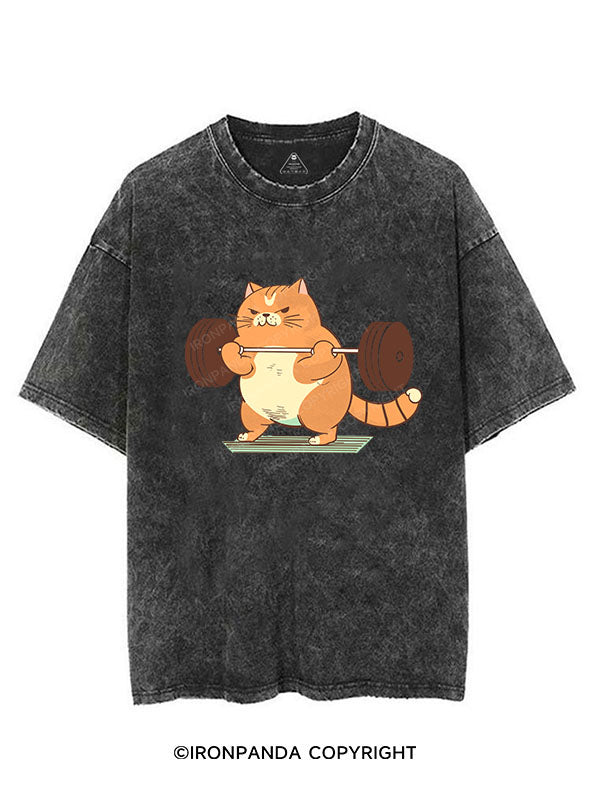 Cat Weightlifting Vintage Gym Shirt