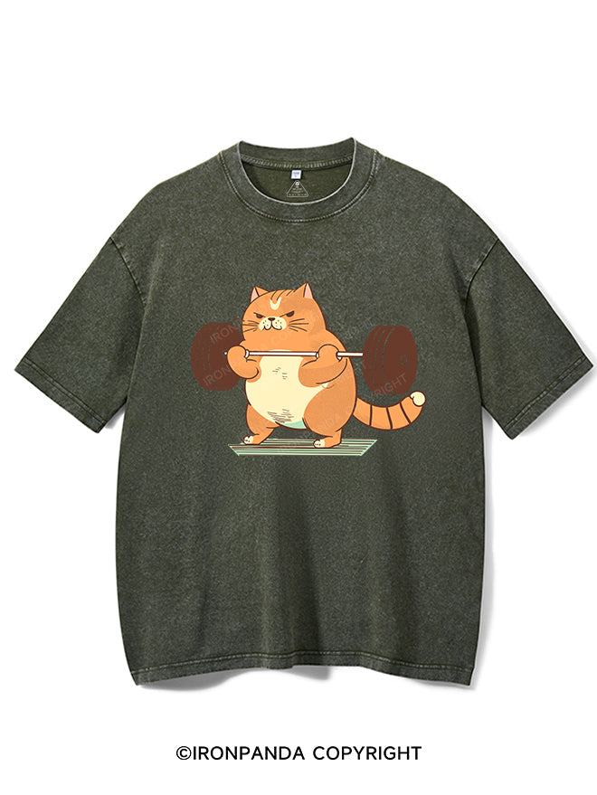 Cat Weightlifting Vintage Gym Shirt