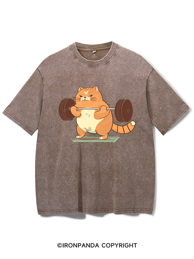 Cat Weightlifting Vintage Gym Shirt