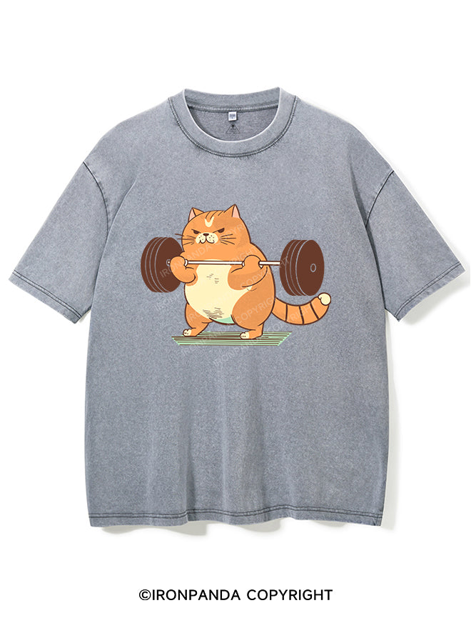 Cat Weightlifting Vintage Gym Shirt