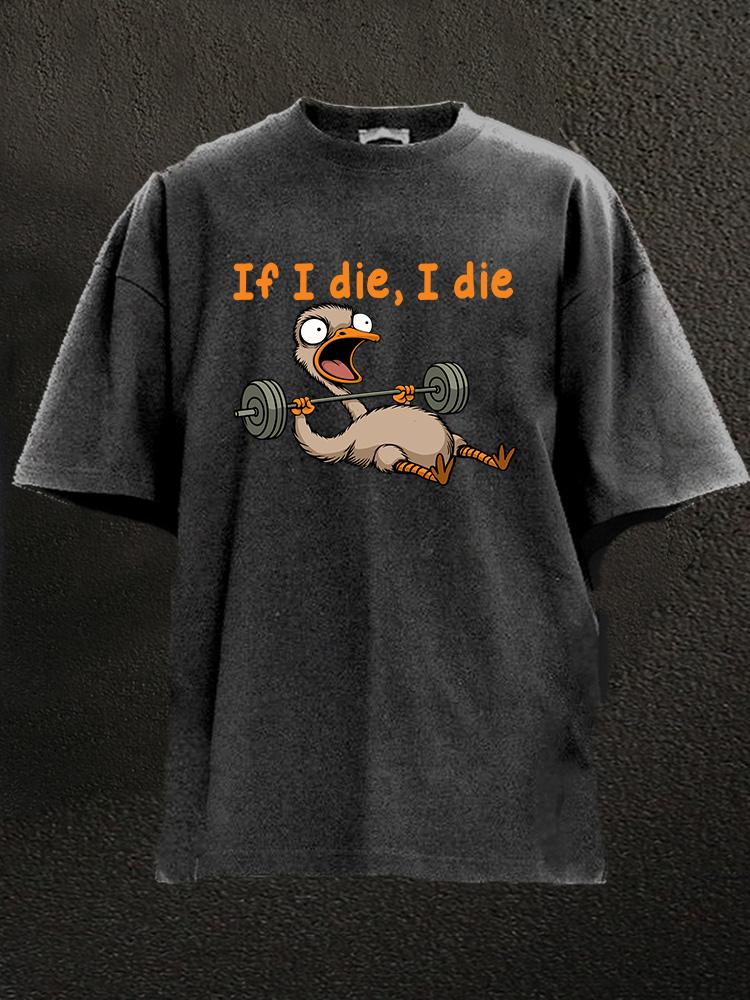 If I die I die ostrich Washed Gym Shirt