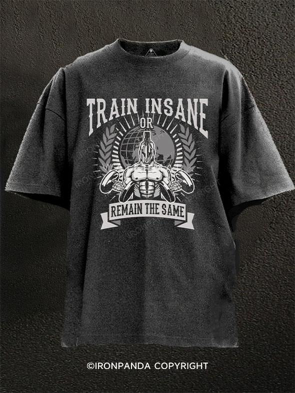 Train Ins ane or remain the same Washed Gym Shirt