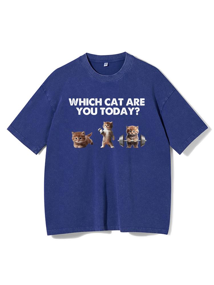 WHICH CAT ARE YOU TODAY Washed Gym Shirt