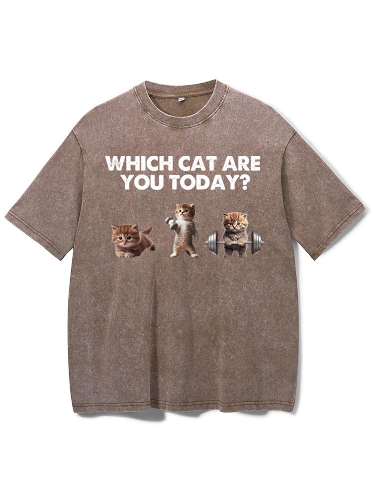 WHICH CAT ARE YOU TODAY Washed Gym Shirt