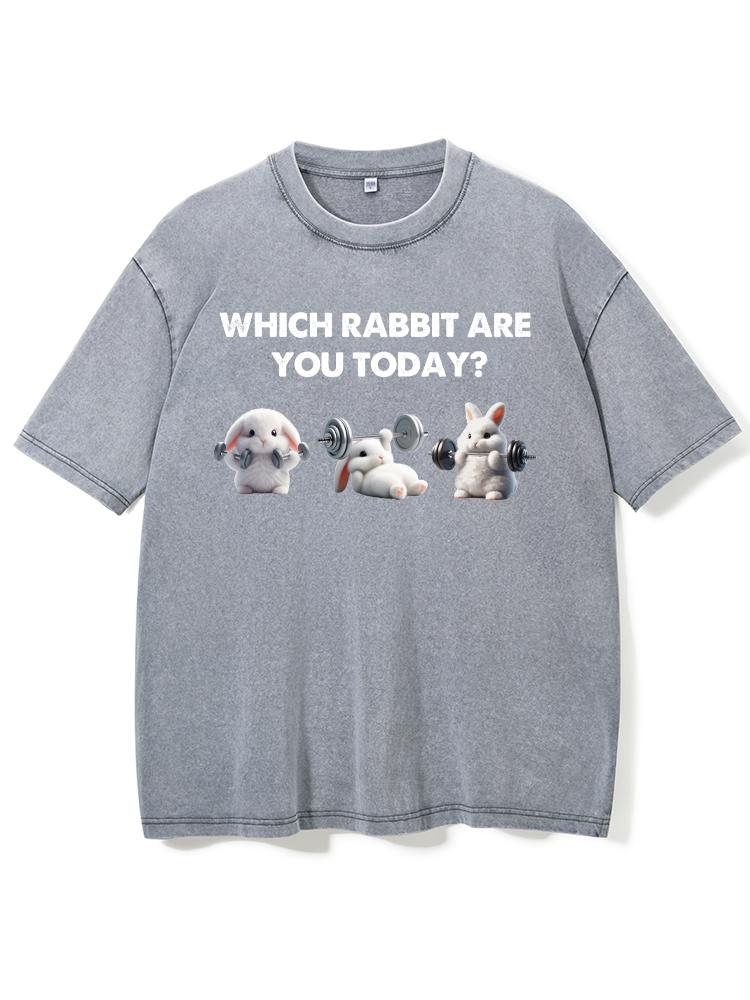 which rabbit are you today Washed Gym Shirt