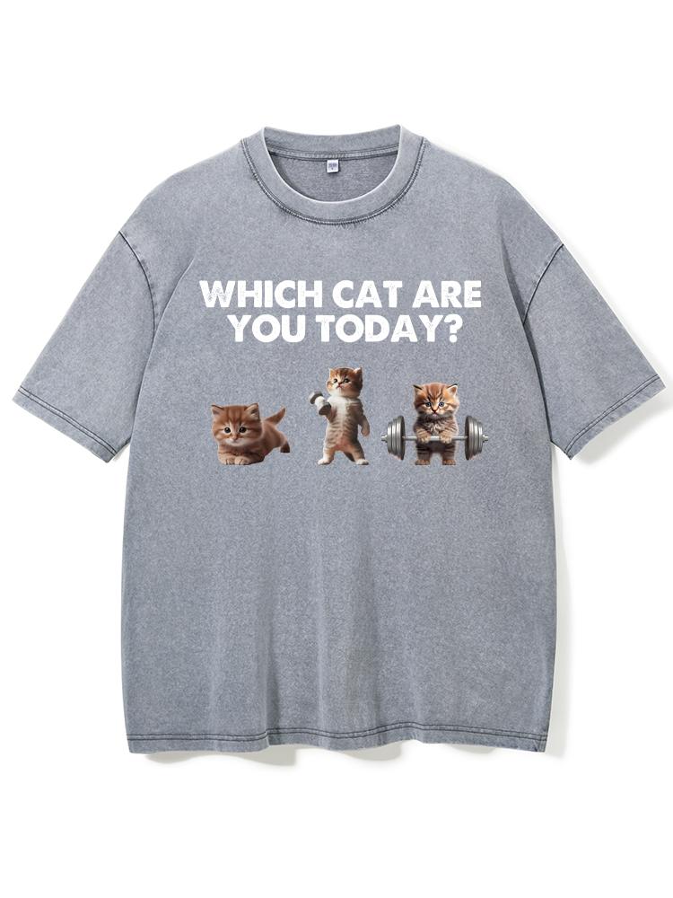 WHICH CAT ARE YOU TODAY Washed Gym Shirt