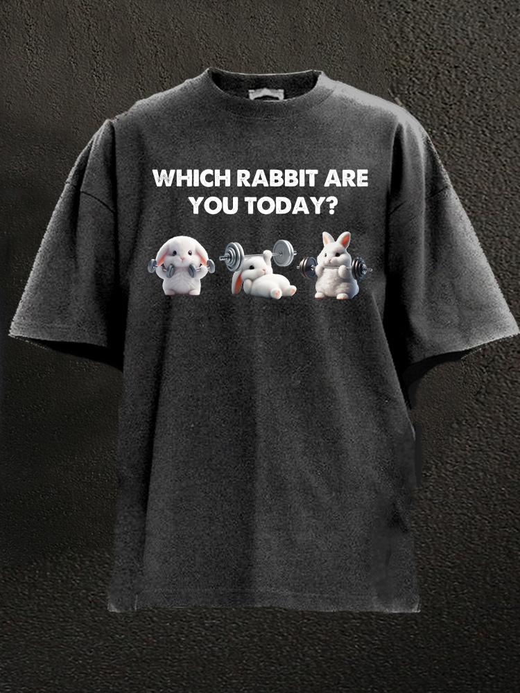 which rabbit are you today Washed Gym Shirt