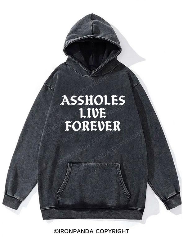 Assholes Lift Forever Washed Gym Hoodie