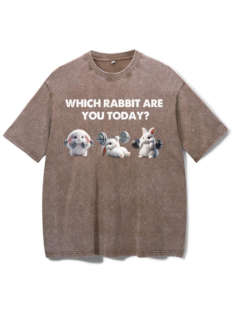 which rabbit are you today Washed Gym Shirt