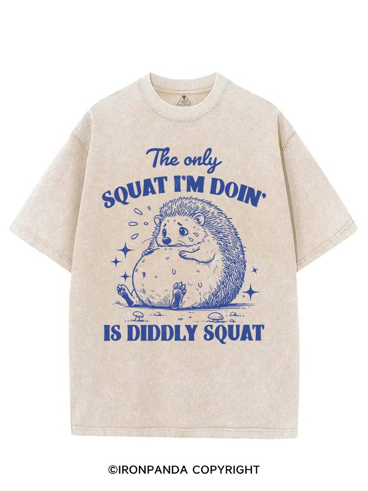 THE ONLY SQUAT I'M DOIN' IS DIDDLY SQUAT VINTAGE GYM SHIRT