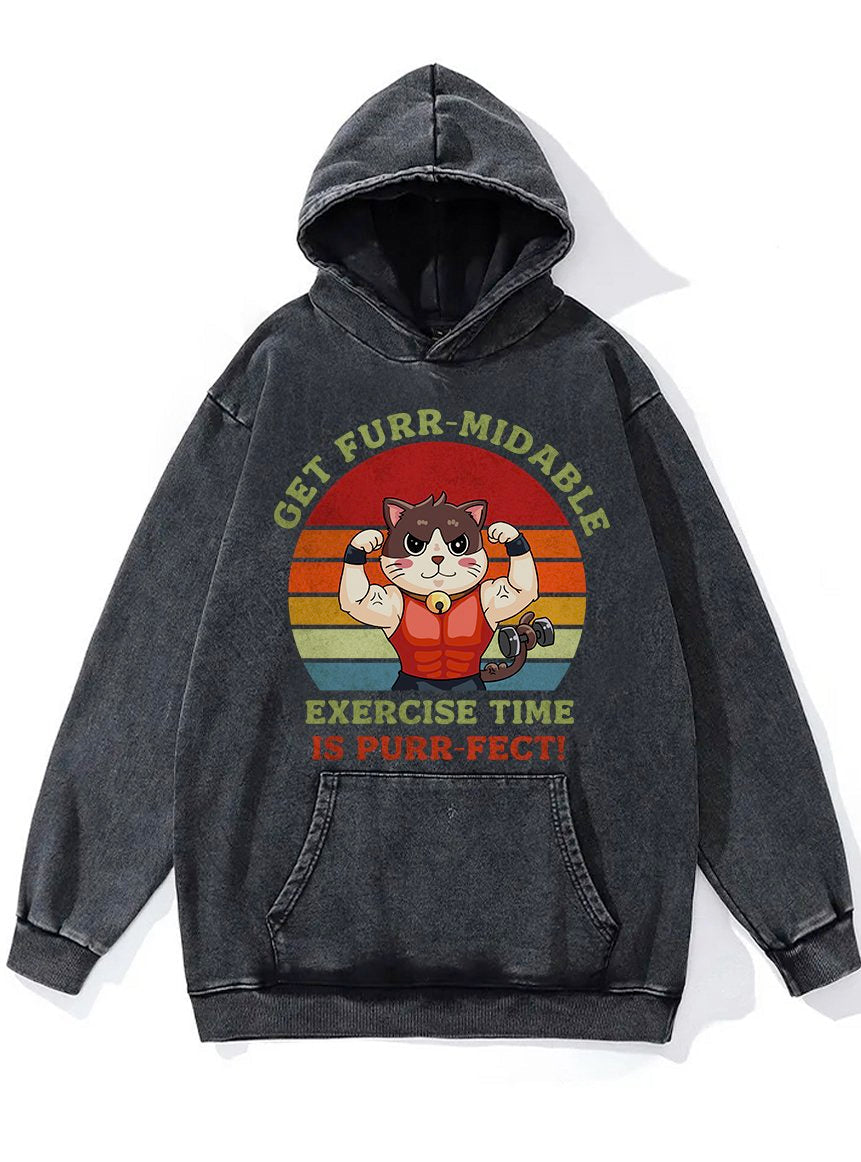 Exercise Time is Purrfect Washed Gym Hoodie