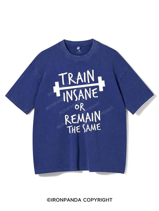 TRAIN INSANE OR REMAIN THE SAME VINTAGE GYM SHIRT