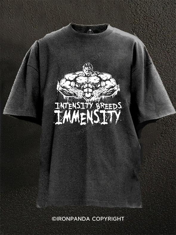 Intensity Breeds Immensity Washed Gym Shirt