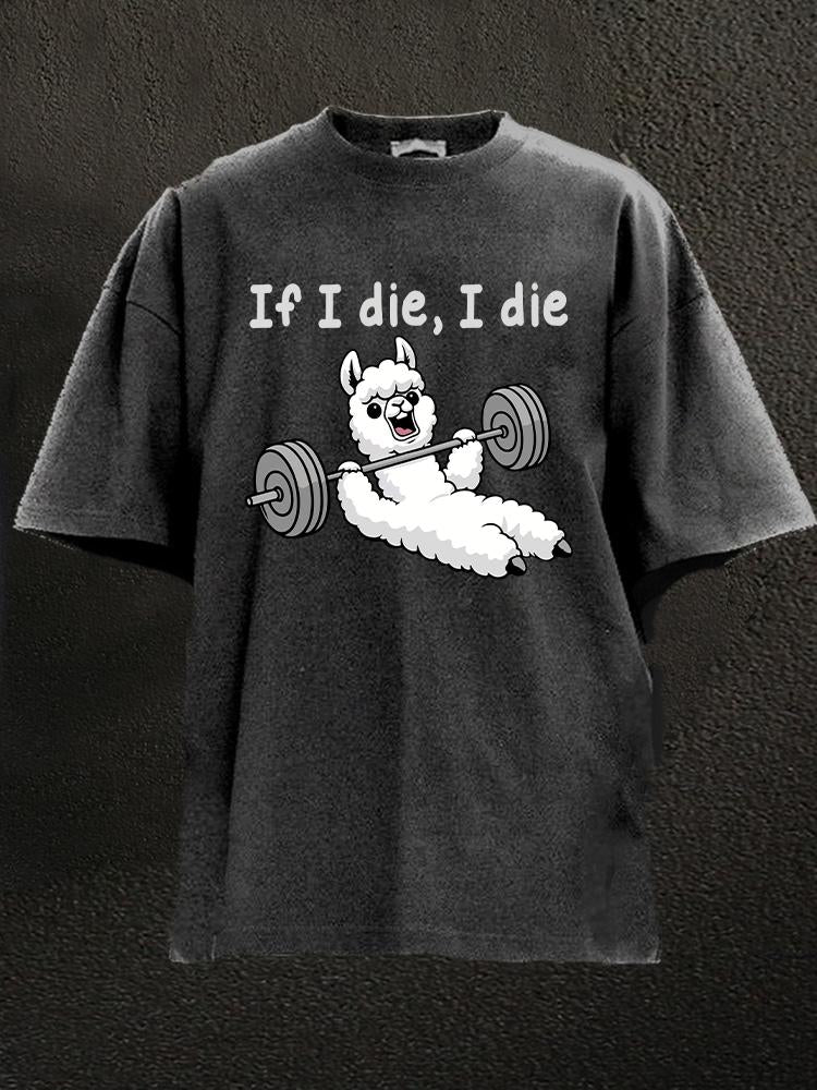 If I die I die Alpaca Washed Gym Shirt