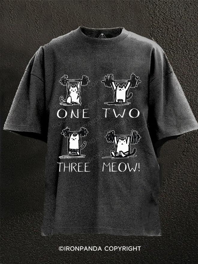 On two three meow Washed Gym Shirt