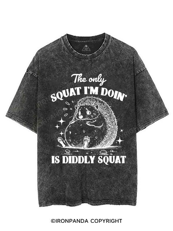 THE ONLY SQUAT I'M DOIN' IS DIDDLY SQUAT VINTAGE GYM SHIRT