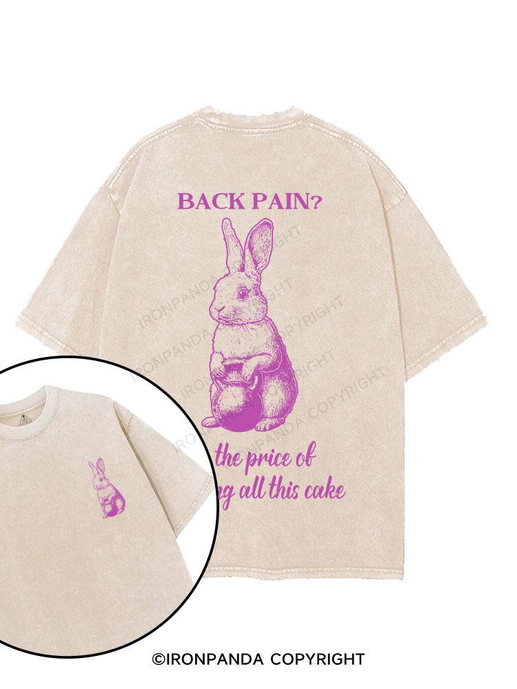 BACK PAIN? IT'S THE PRICE OF CARRYING ALL THIS CAKE printed Gym Shirt