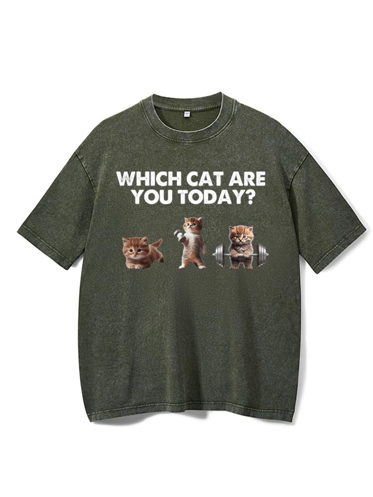 WHICH CAT ARE YOU TODAY Washed Gym Shirt