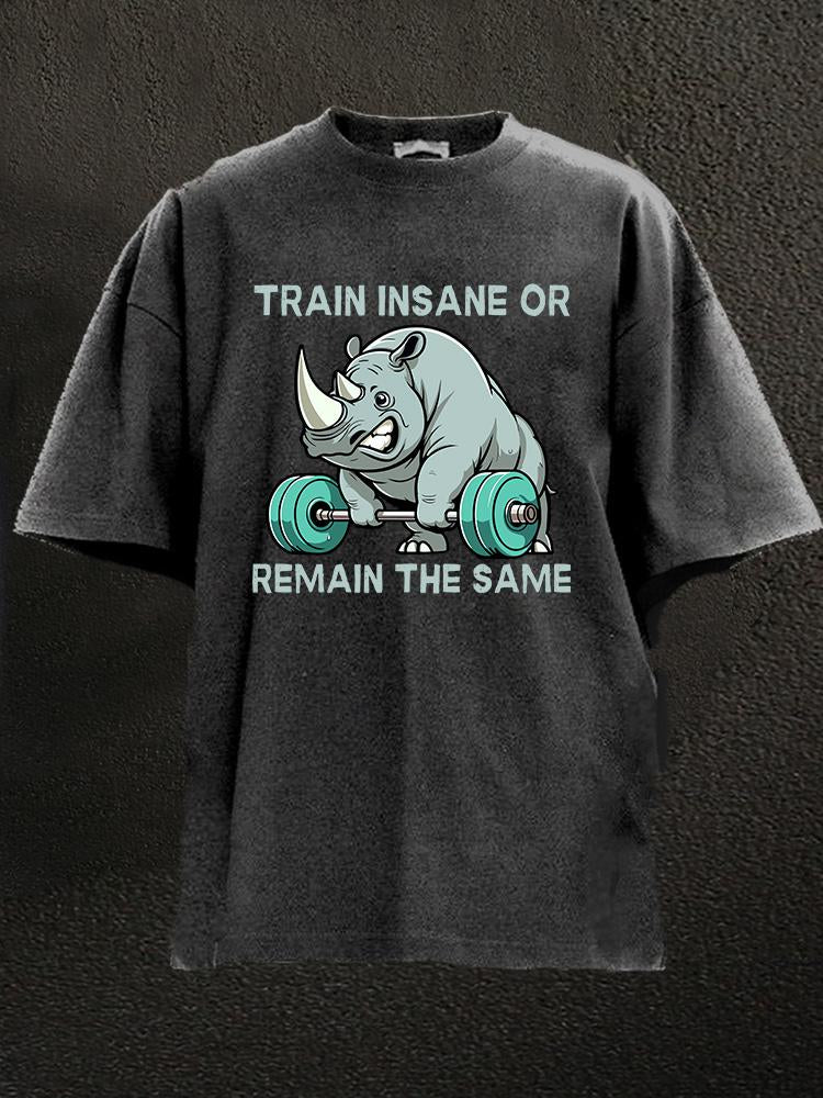 Train insane or remain the same rhino Washed Gym Shirt