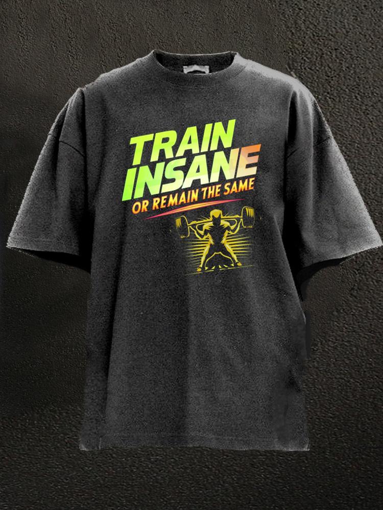 Train insane or remain the same Washed Gym Shirt