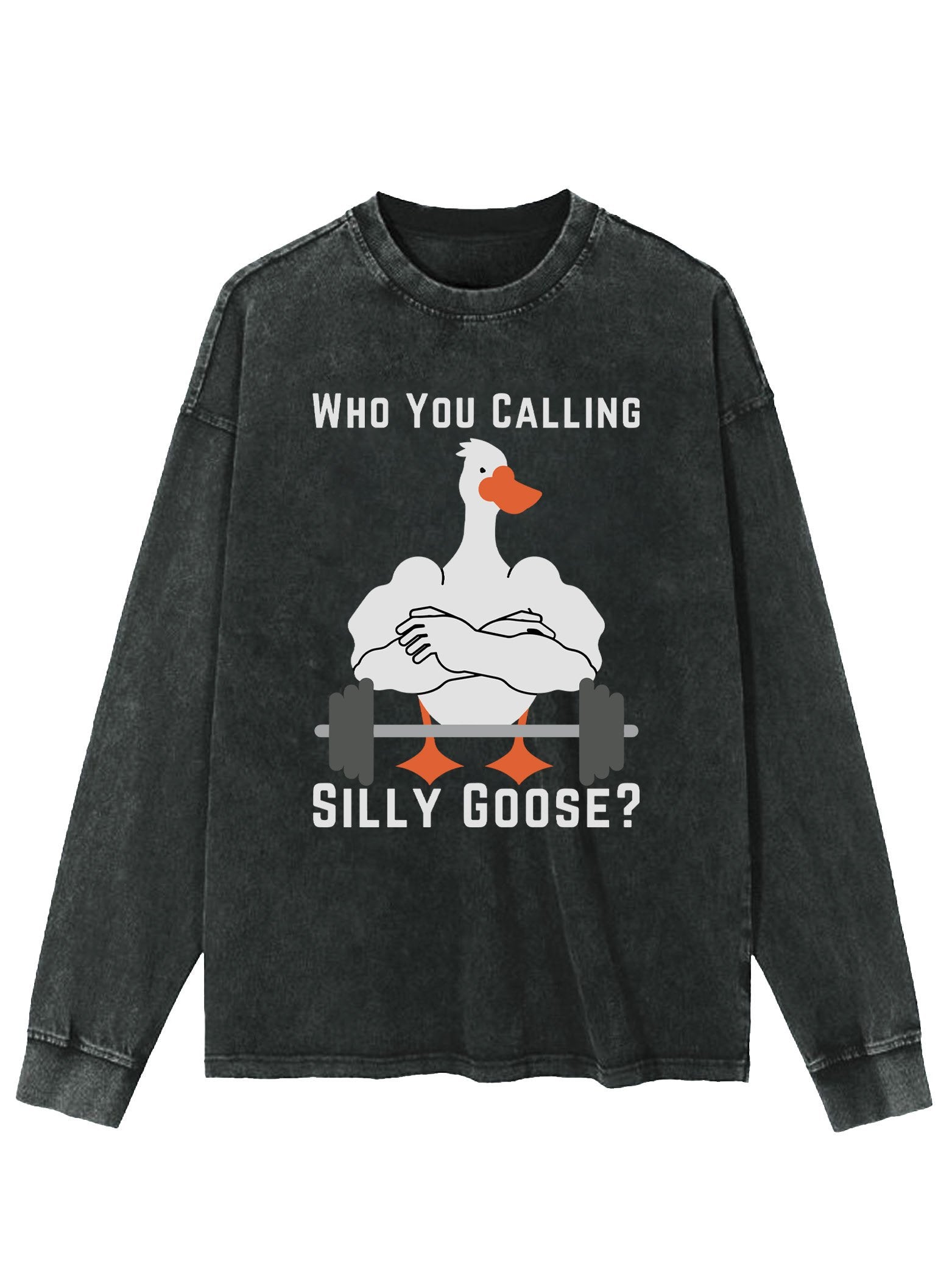 Who you calling Silly Goose Washed Long Sleeve Shirt