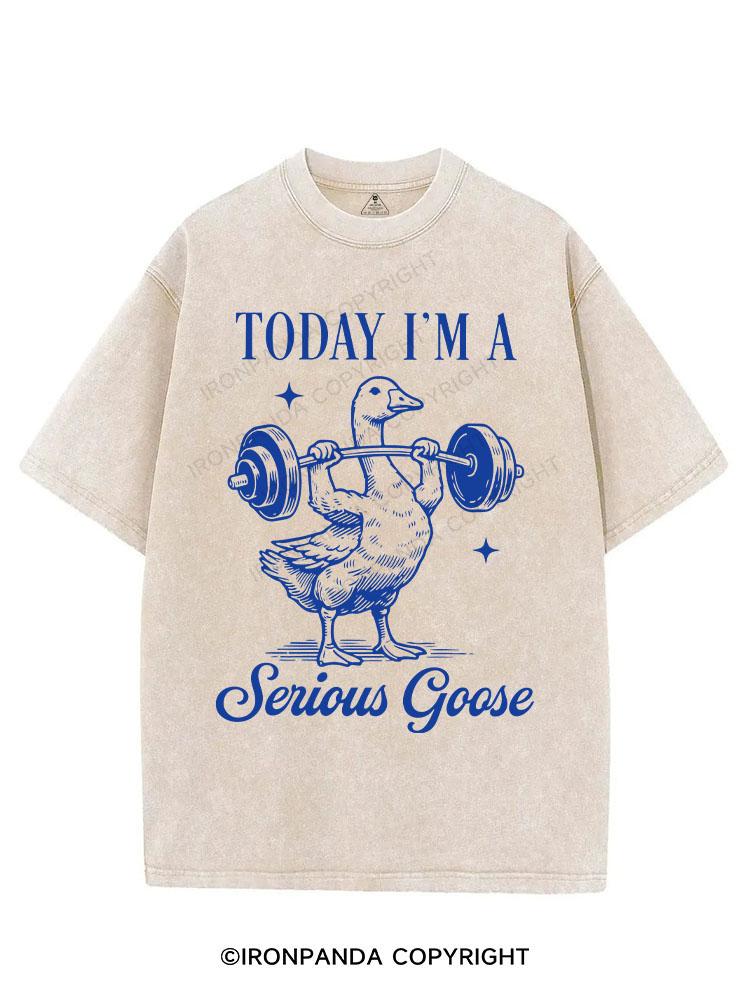 TODAY I'M A Serious Goose VINTAGE GYM SHIRT