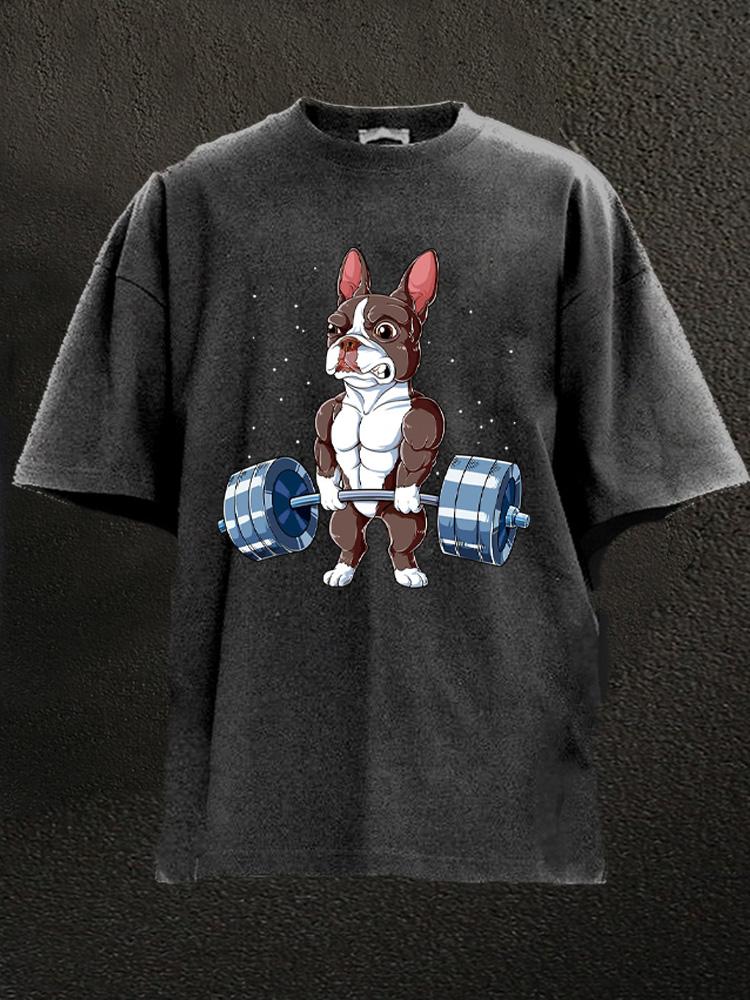 Weightlifting Brown Boston Terrier Washed Gym Shirt