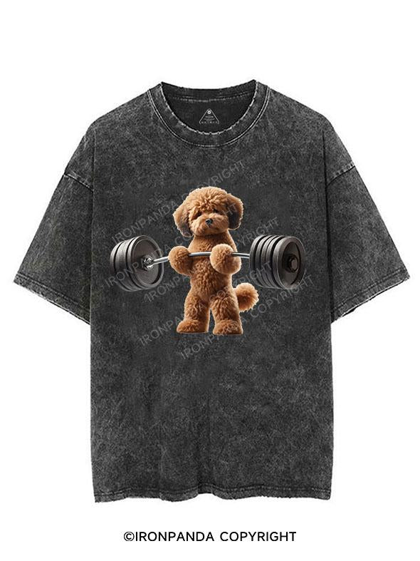 LITTLE PAWS, BIG LIFTS VINTAGE GYM SHIRT