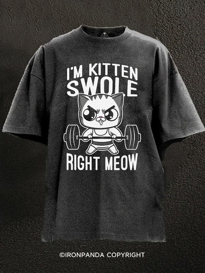 I'm Kitten Swole Right Meow Washed Gym Shirt