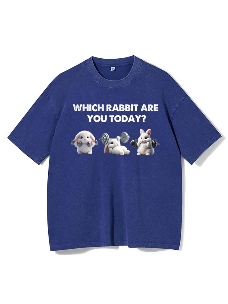 which rabbit are you today Washed Gym Shirt