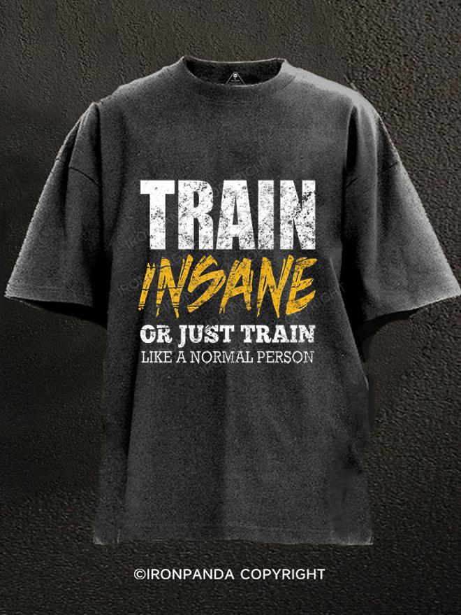 Train Insane Or Just Train Like A Normal Person Washed Gym Shirt