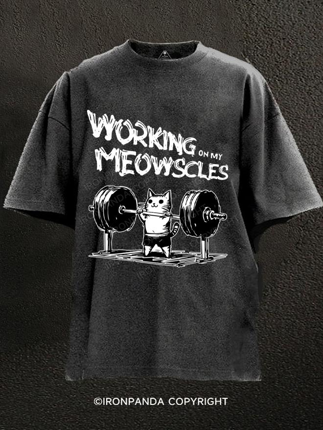 Working on My Meowscles Washed Gym Shirt