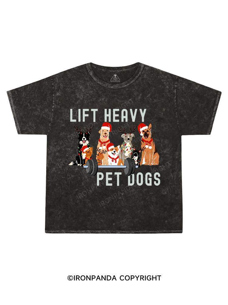 Christmas Lift Heavy Pet Dogs Kids Washed T-Shirt