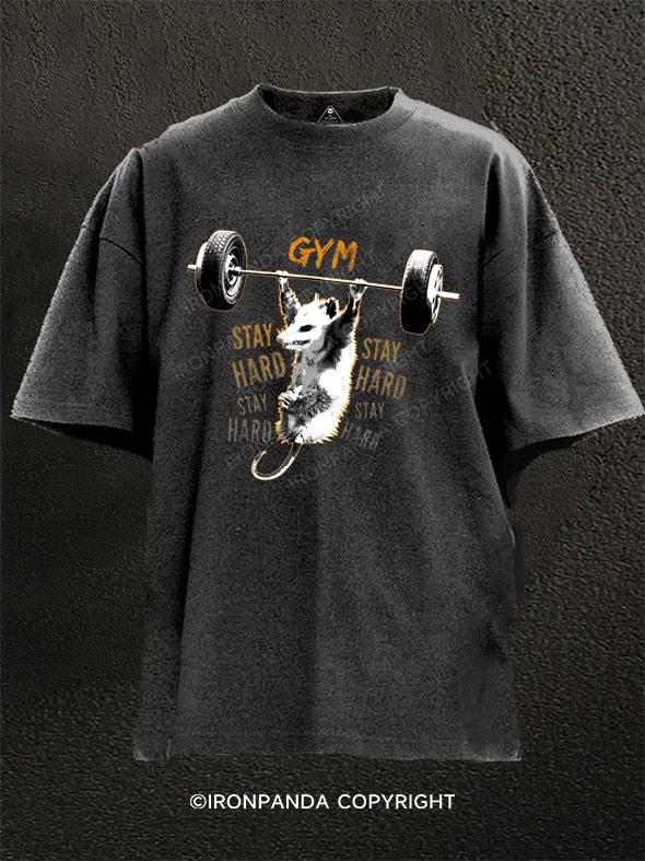 Gym Body Goals Washed Gym Shirt