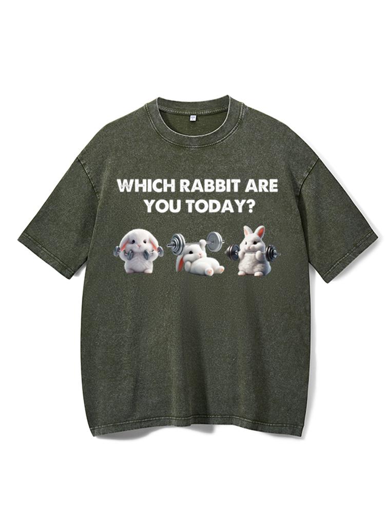 which rabbit are you today Washed Gym Shirt