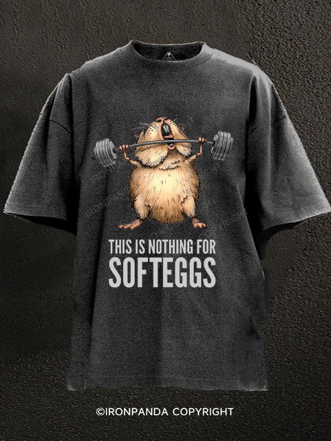 THIS IS NOTHING FOR SOFTEGGS Washed Gym Shirt