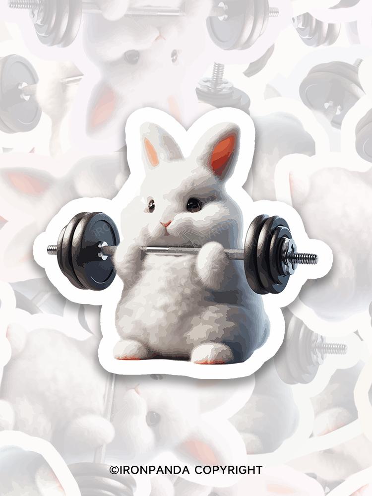 IronPanda Rabbit weightlifting Sticker