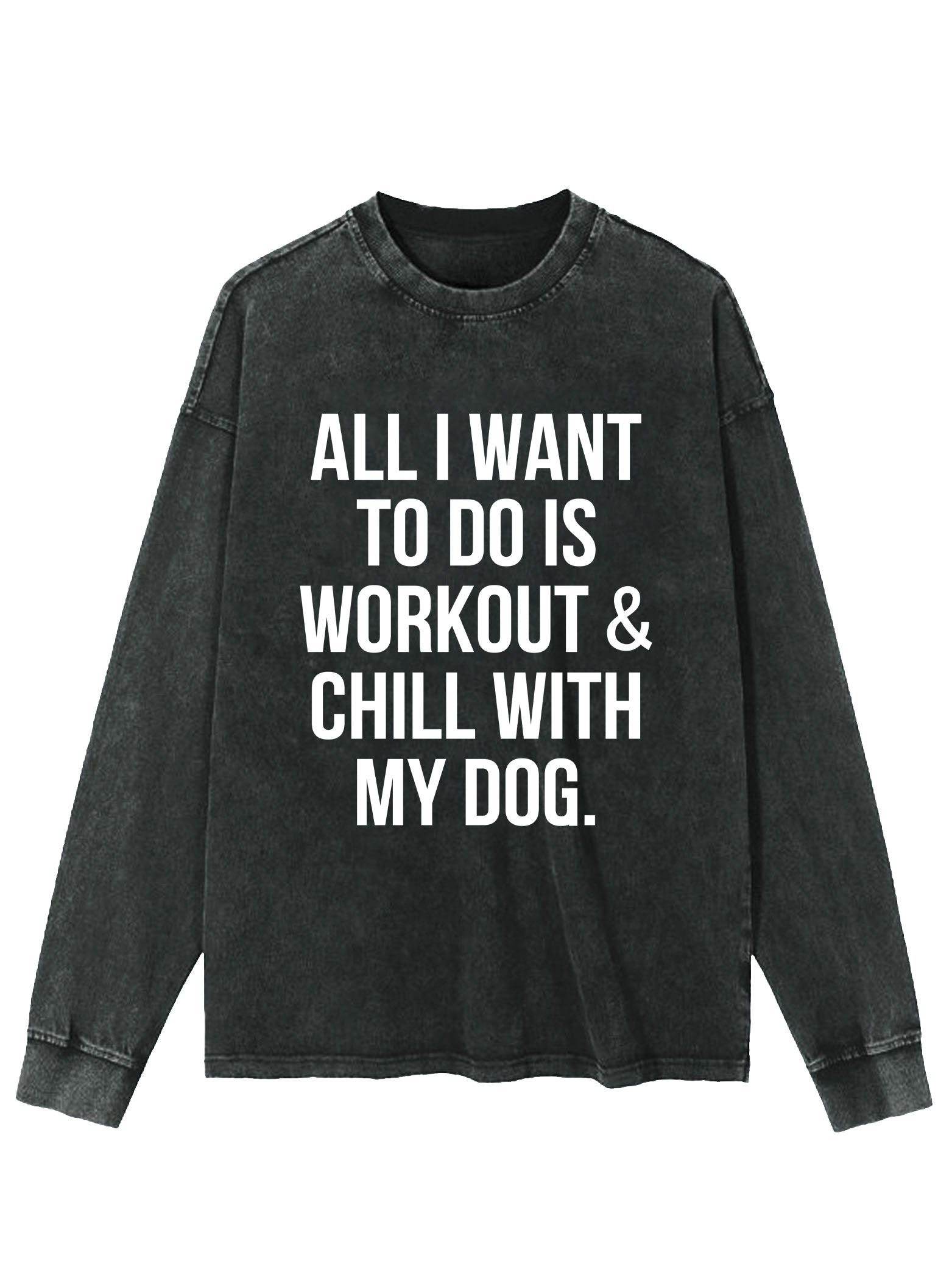 ALL I WANT TO DO IS WORKOUT & CHILL WITH MY DOG WASHED LONG SLEEVE SHIRT