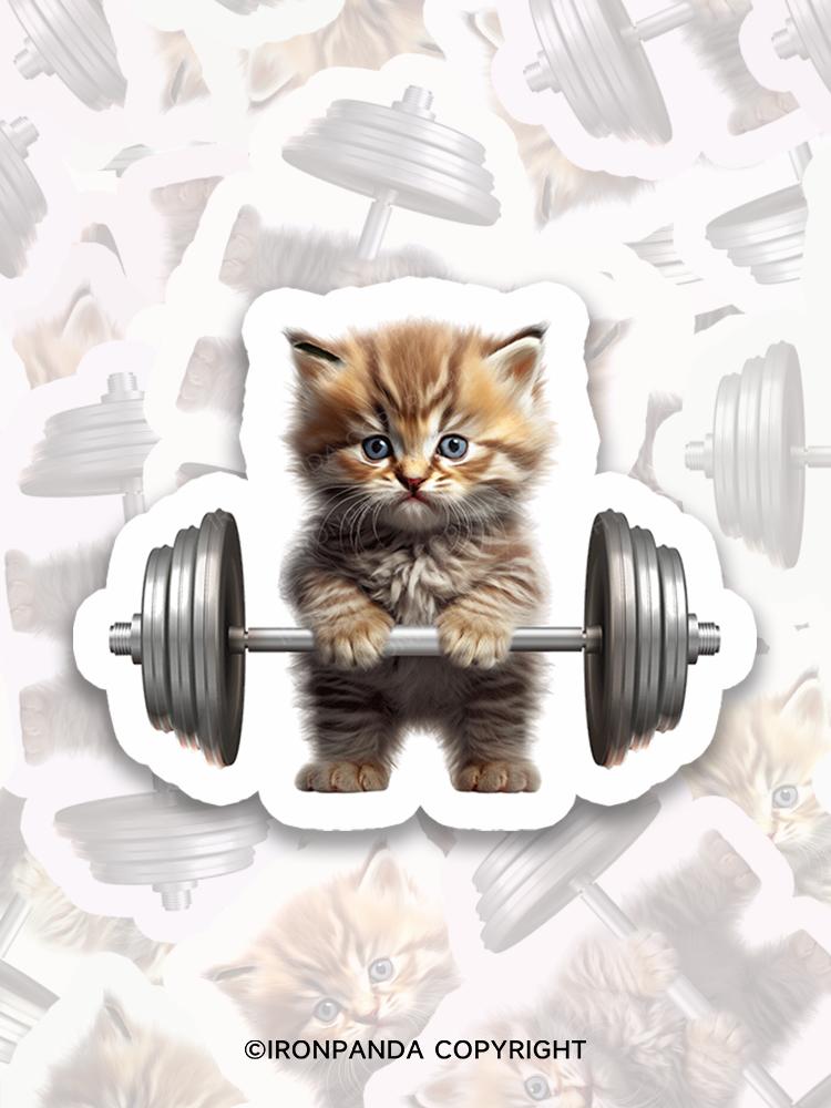 IronPanda Cat weight lifting Sticker