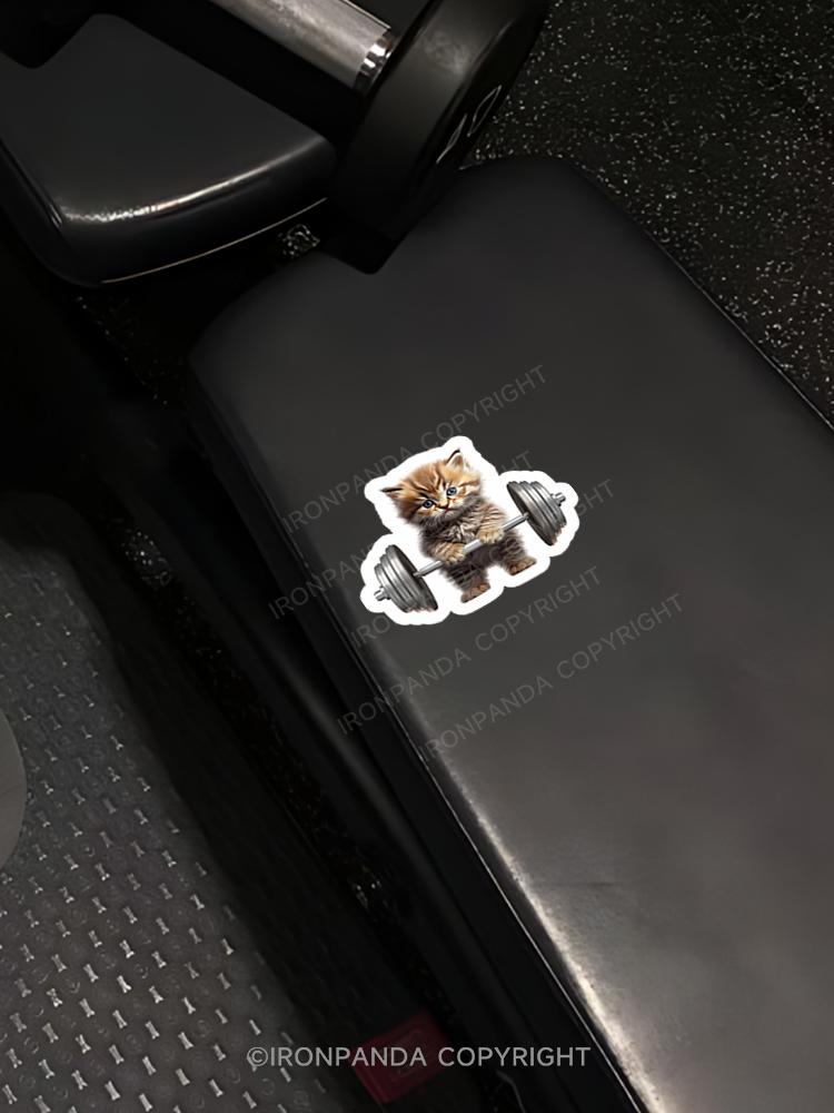 IronPanda Cat weight lifting Sticker