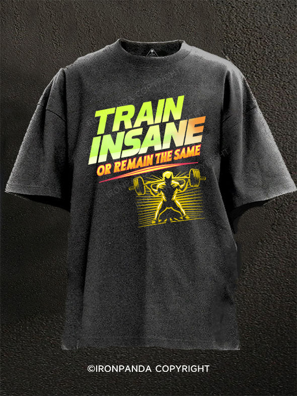 Train insane or remain the same Washed Gym Shirt